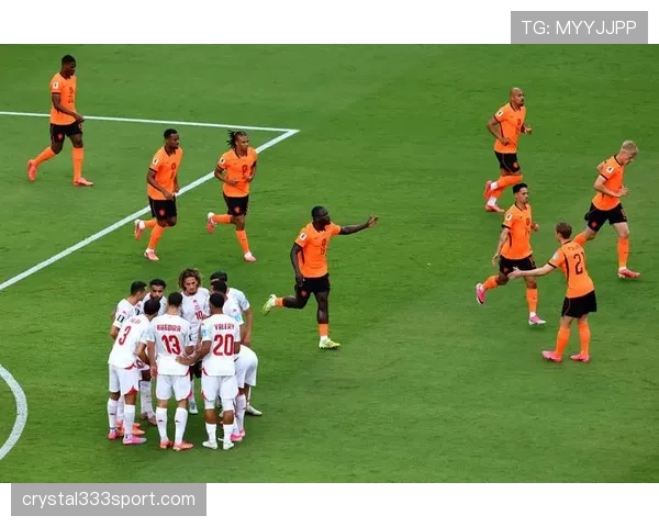 荷兰3-1突尼斯：世界杯F组末轮战报